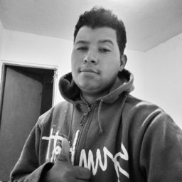 mauriciovieirasoares667@gmail.com