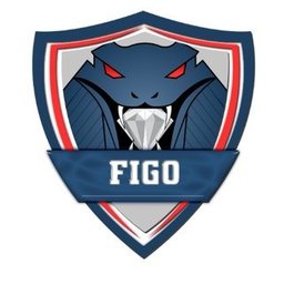 figo_wp