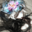 Kage_JR