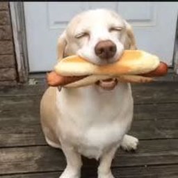 slypery