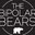Bipolar Bears