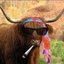 CORN0S (was deleted at: 2022-08-06T02:33:19.5248097Z)