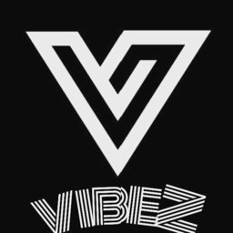 vibeZ_gabriel