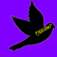 BOREK PIGEONS