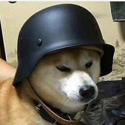 KingCarry