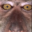monkymode