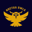 Noctua Owls Gold
