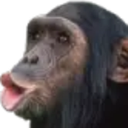 Shoguitor