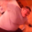 Mcko-