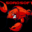 SorqSoft