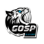 GOSP eSports (was deleted at: 2025-08-13T17:38:39.9058995Z)
