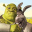 Burro