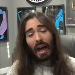 TPaladin