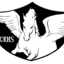 CRNS TEAM (was deleted at: 2022-10-03T19:09:48.3942844Z)