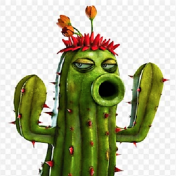 CACTUS CLAN