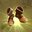 BrownBoots