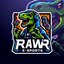 Rawr Esport