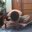 Graviee