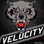 Veloc1ty