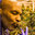 Tyson Of League