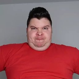 nikocadoavocadoofficial