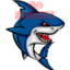 Sharks1