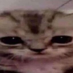 Drystki