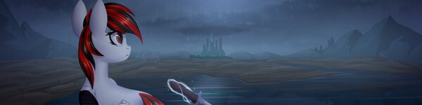 Banner