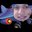Andrepc