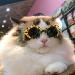 Hellokitty.boy..2