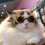Hellokitty.boy..2