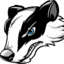Big Bad Badgers