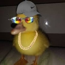 csDuck#