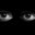 THE_BOB#