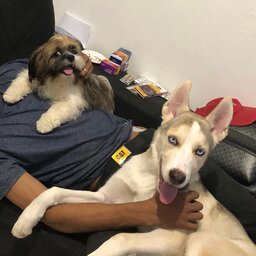 Luiz carlos de Oliveira Filho