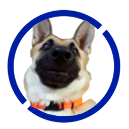 ThePrimer [GabeDoge]