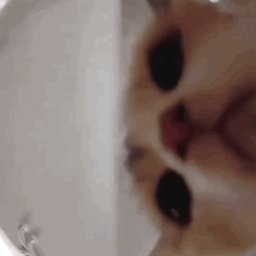 .joj#