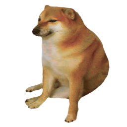 doggo siffredi
