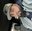 allmotorjay22