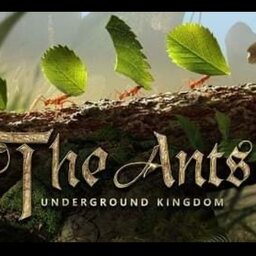 Yeremi Andres Macualo Ruiz