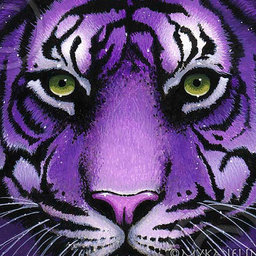 DM_Tiger