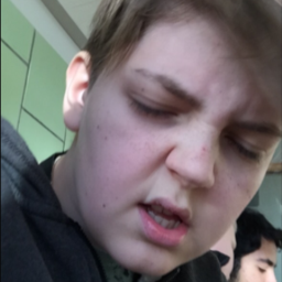 costierprawnthicc