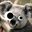 Koalas (was deleted at: 2018-07-17T17:01:55.7360700Z)