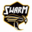 Team_SWARM