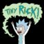 RickS and Morty