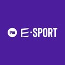Postimees e-sport
