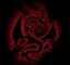 Dragon pirates