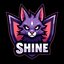 Shine1337