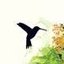 rAllz-