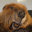 50/50 (was deleted at: 2019-03-05T17:52:10.7147668Z)